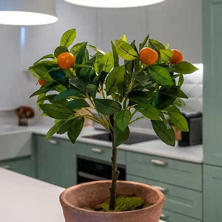 T2 Dina's Place Апартаменты *
