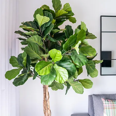 T2 Dina's Place * ナザレ