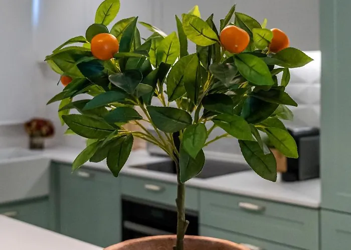 T2 Dina's Place Appartamento *